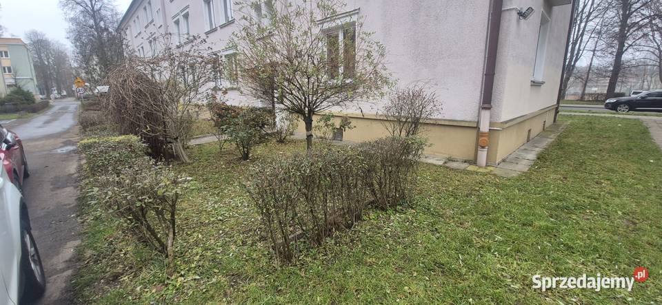 3pokojowe mieszkanie 6336 m parter ogródek