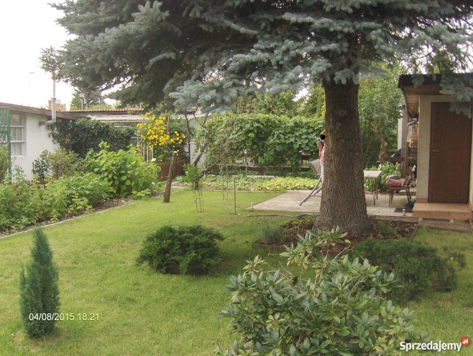 sprzedam działkę ROD Złotowska wielkopolskie