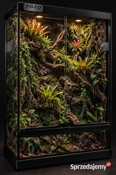 Terrarium boa cesarskiego pytona regiusa śląskie Tychy sprzedam