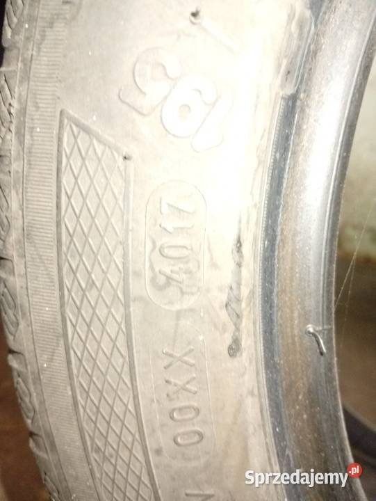 1955015 opony lato