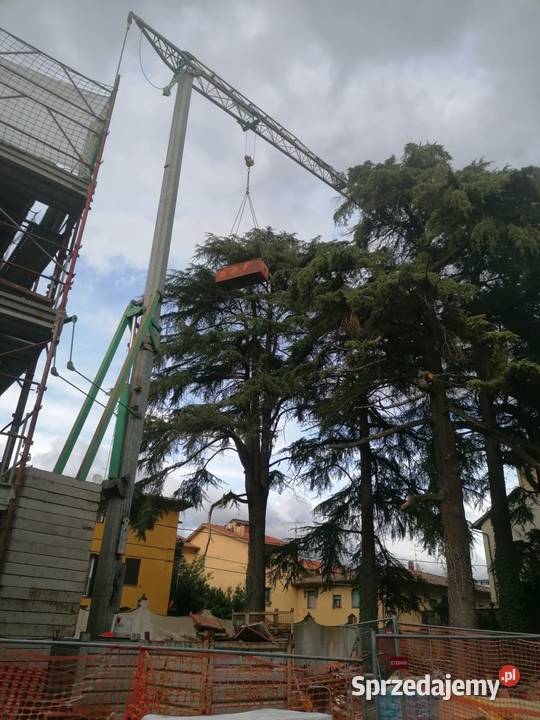 Dzwig samomontujacy Alfa 21mb Katowice