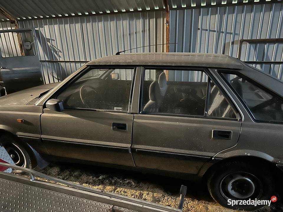 Polonez Caro śląskie Hutki