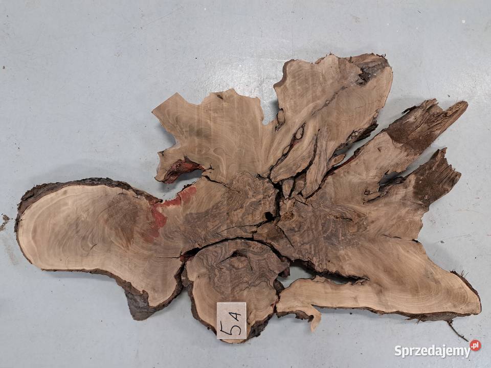 Plastry Orzech Korzeń suche Kalinówka