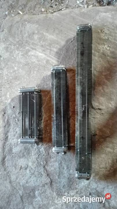 Grzejniki produkcji Belgijskiej Zbiersk sprzedam