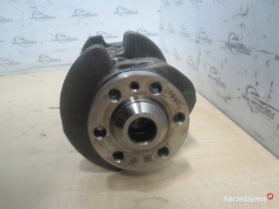 GOLF PASSAT EOS 16 TDI CAY 105 159 13r wał Kielce