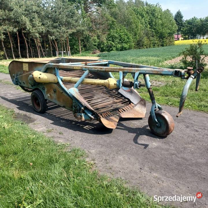 Kopaczka elewatorowa do ziemniaków dwurzędowa lubelskie Piaski