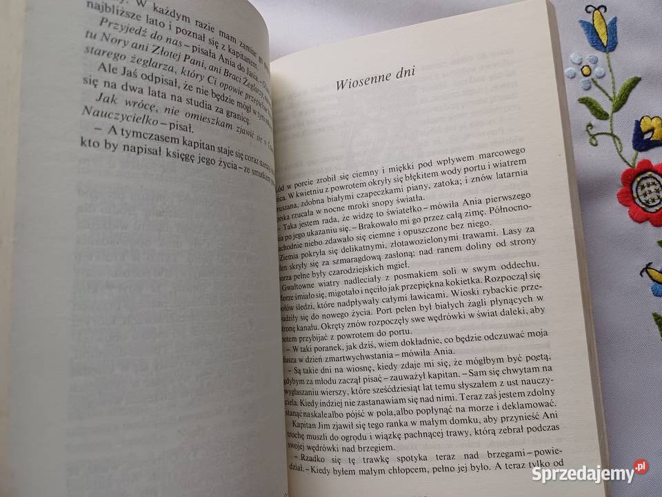 Wymarzony dom Ani Lucy Maud Montgomery Kraków