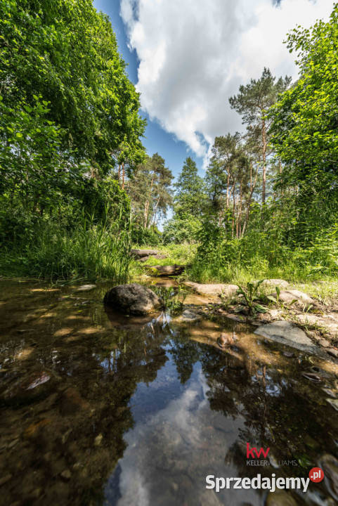 Dom wolnostojący 930m2 Mściszewo Radzimska