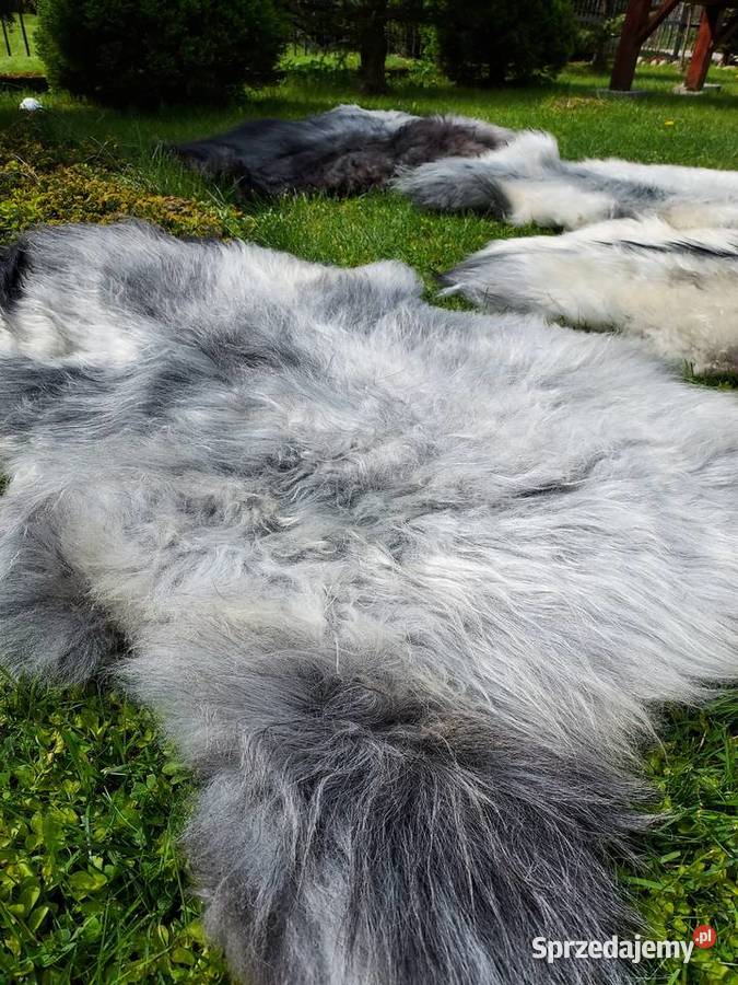 Skóra Owcza Szwedzka MELERADE Skóry Owcze Szaflary