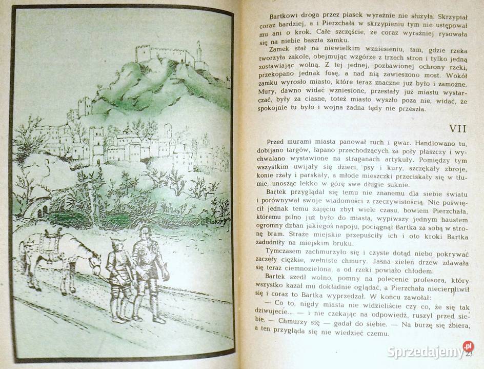 Mechaniczny Rycerz Anna Lewkowska