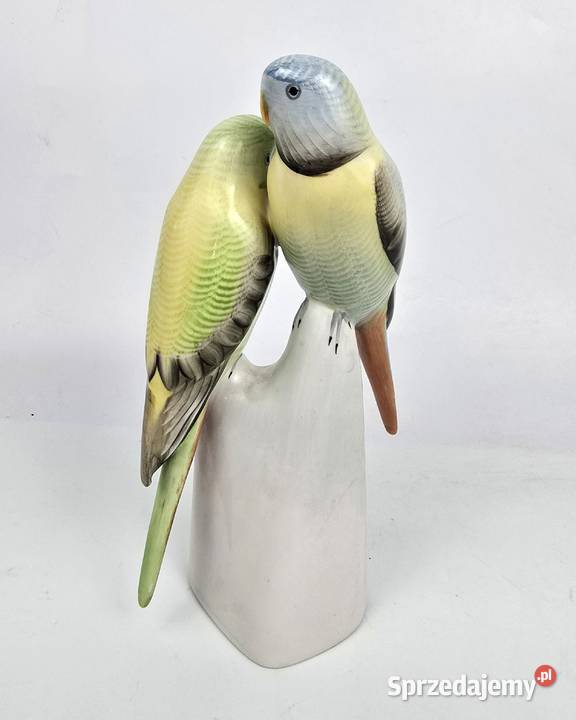 Papużki faliste zielone Hollohaza papugi Węgry Bronisze