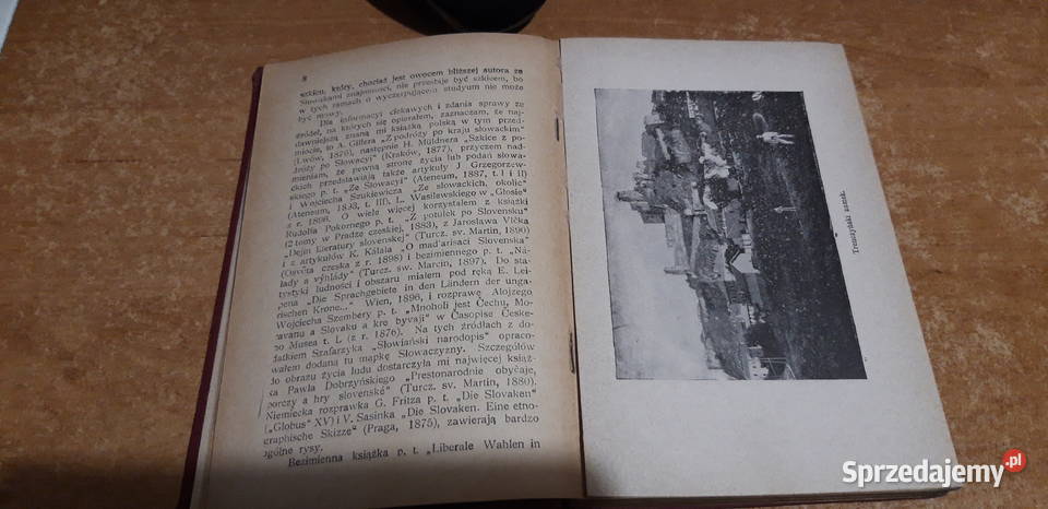 SŁOWACY ich życie i literatura R Zawiliński Antykwariat wielkopolskie Iwno