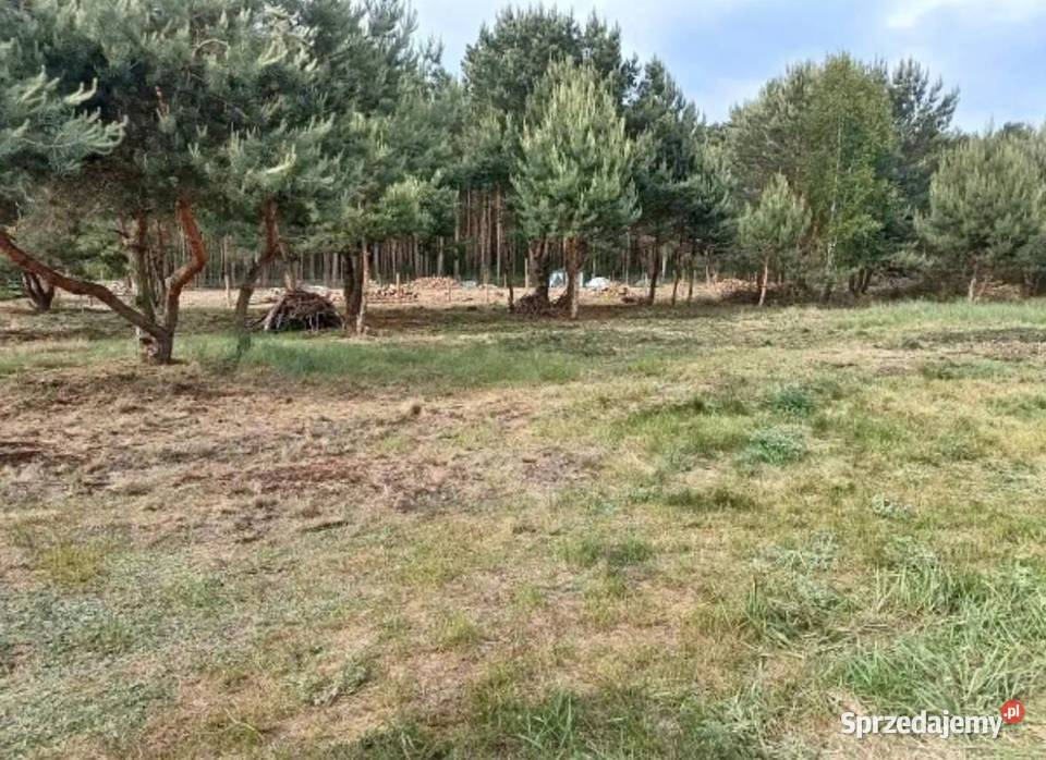 DZIAŁKA BUDOWLANA 1160 m UŚCIE GM KOLSKO lubuskie Uście sprzedam