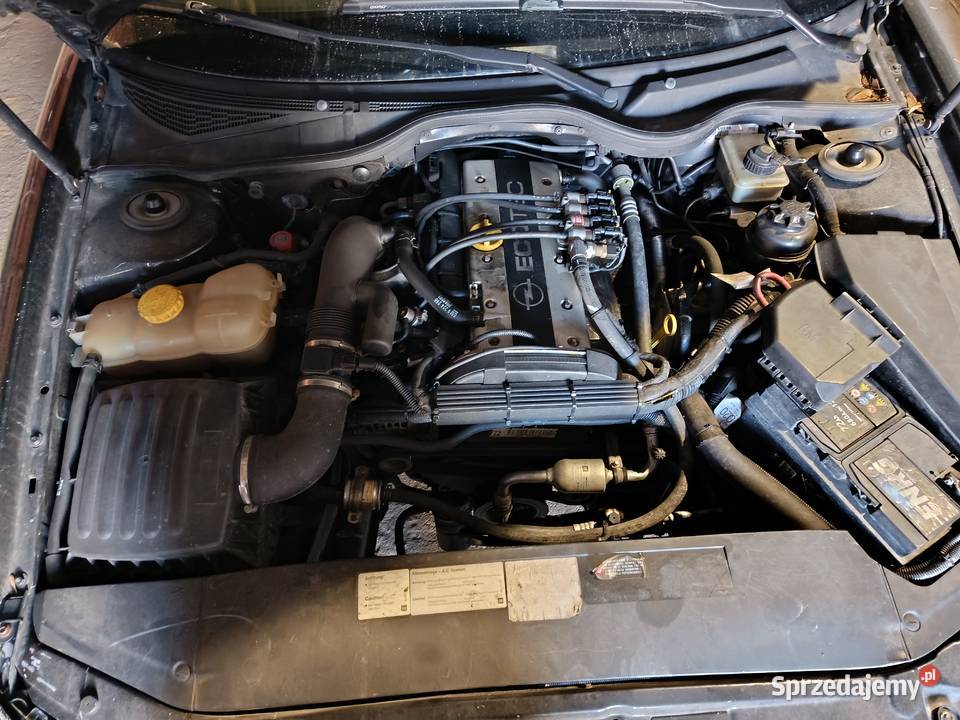 Sprzedam Silnik Opel Omega Vectra Frontera 22 pomorskie Skórcz