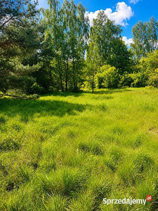 Działka budowlana 1233 m 10 min Sokołowa 95 000 mazowieckie Hołowienki