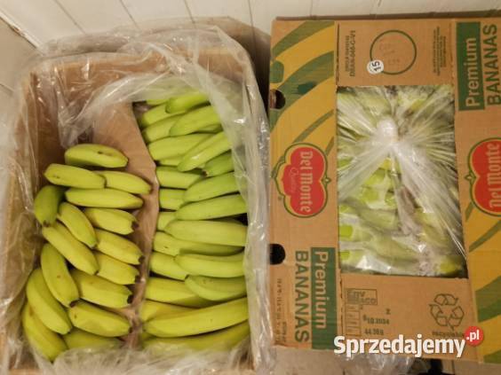 Sprzedam Hurtownie Warzyw Owoców Gotowy Biznes Kłobuck