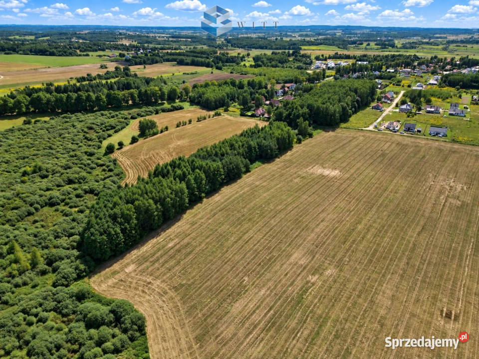 sprzedaży gruntu Zwierzewo 3124m2