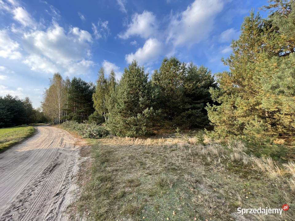 Działka z możliwością budowy domu 60 arów Stanisławów