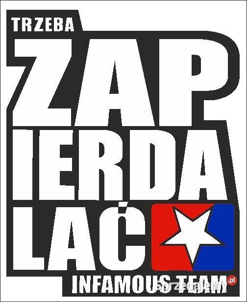 Naklejka 10x85 wlepka Infamous Team TRZEBA Kobierno sprzedam