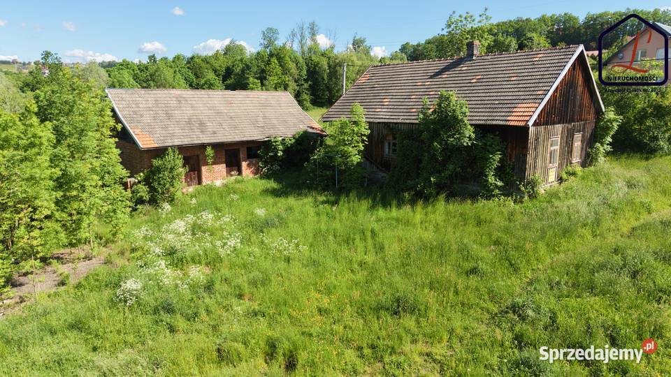 Działka budowlana 61 ar Trzetrzewina gm Chełmiec budowlana Grunty i działki