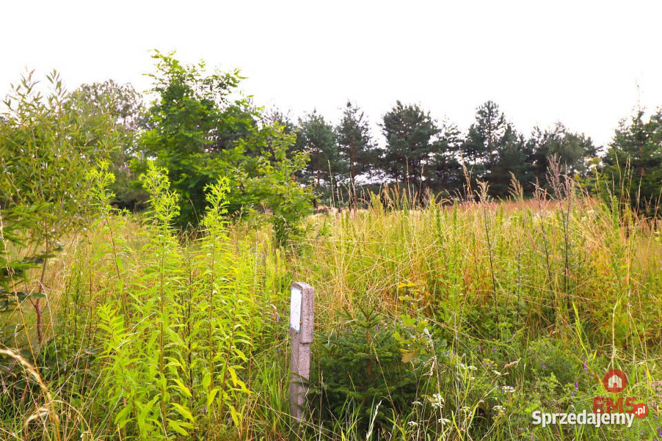 Sprzedaż gruntu Suwałki 3758m2 inwestycyjna