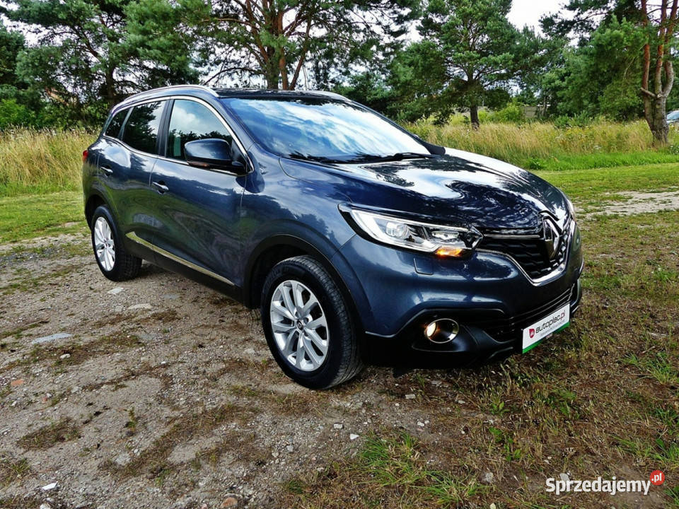 Renault Kadjar 16 SUV Piła
