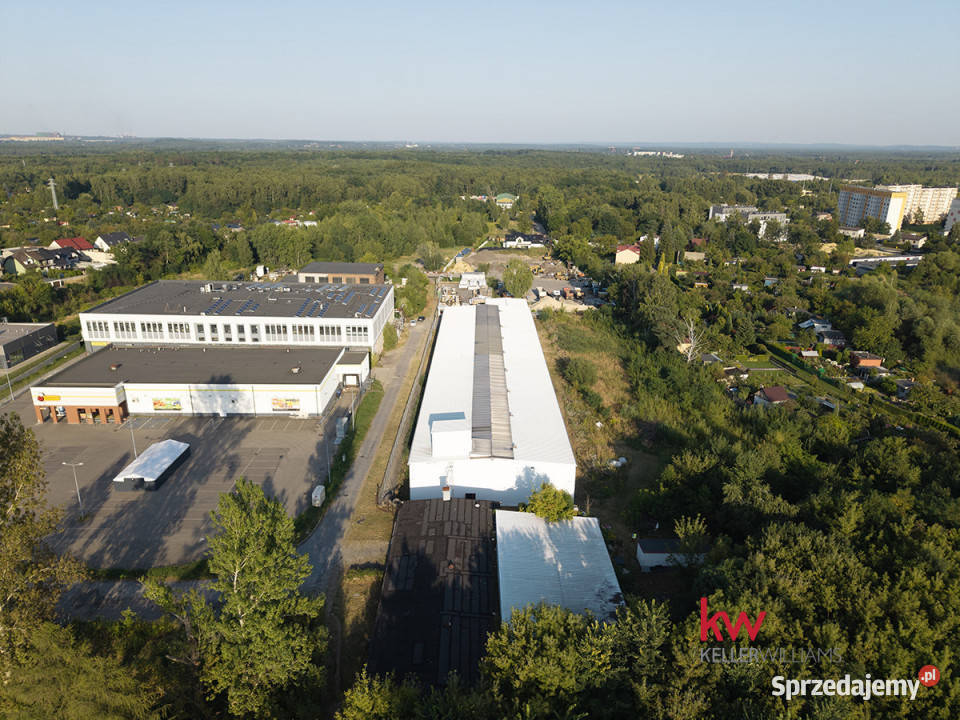Lokal Sosnowiec Braci Mieroszewskich 2700m2 2700m2 śląskie sprzedam