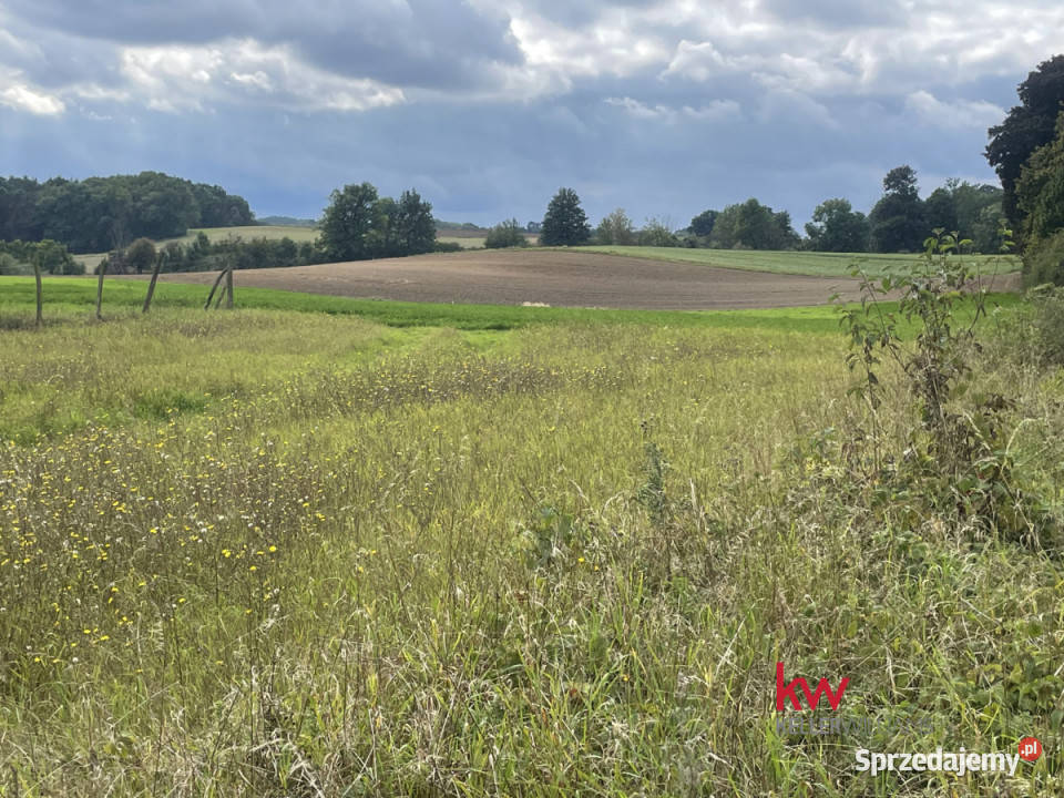 sprzedaży gruntu 980m2 Prusim budowlana Sprzedaż wielkopolskie
