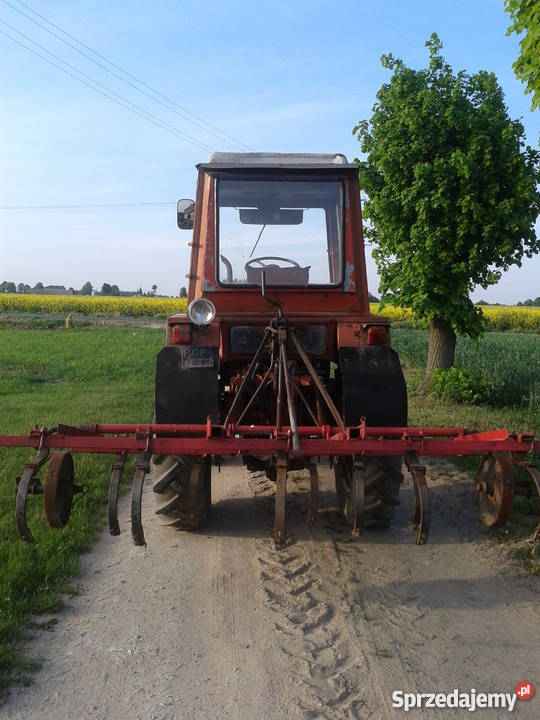 Wladymirec T25 i kultywator Gozdowo