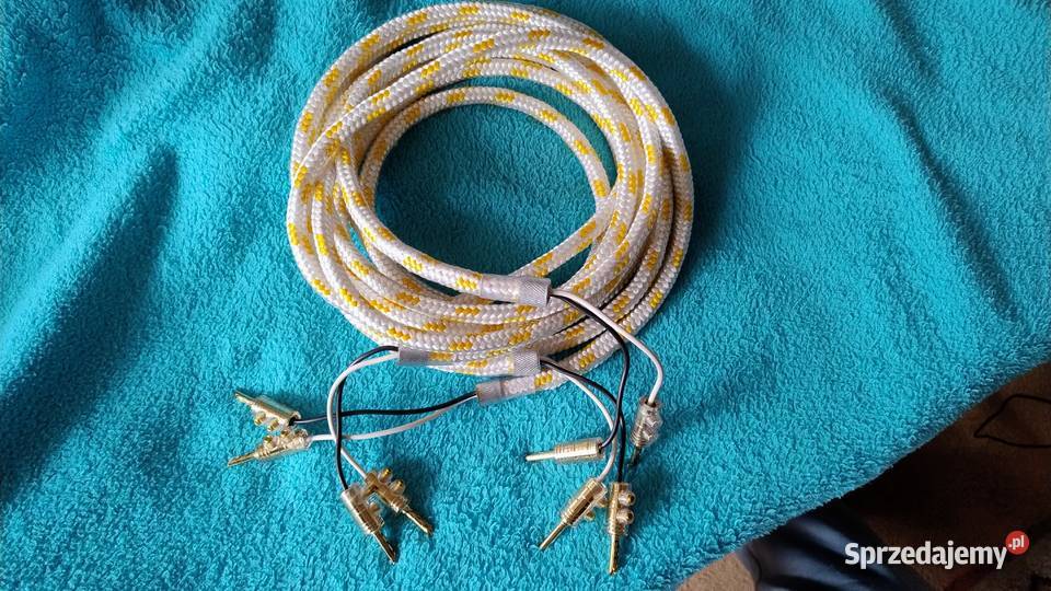 Audio Note Kondo Japan KSLSP 2x3m Pszczyna