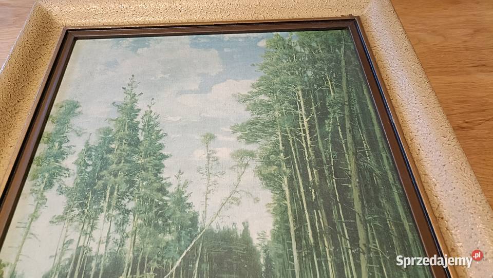 Dwa Ładne stare obrazy Reprodukcja