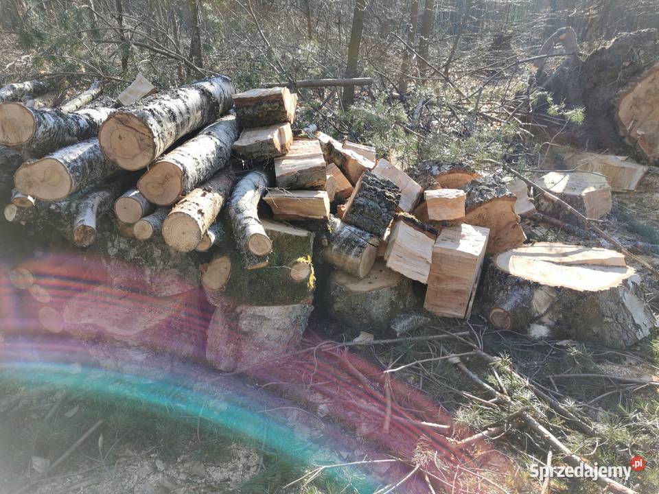 Sprzedam drewno opałowe sosnowe suche liściaste Dom i Ogród zachodniopomorskie