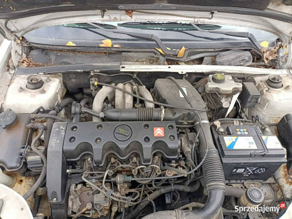 Citroen Saxo Citroen Saxo 15D 57 00r nieuszkodzony Tarnów