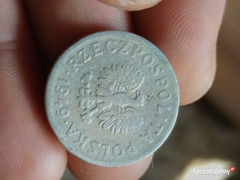 Sprzedam 50 gr 1949 Kolekcje Chełm