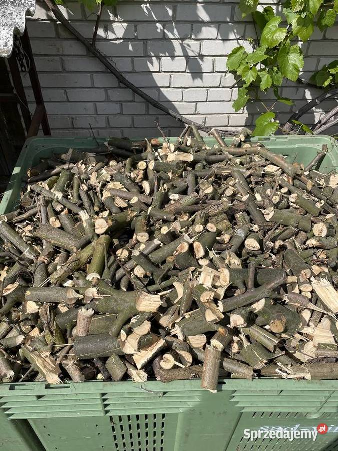 Zrębki opałowe jabłoniowe sprzedam Puławy