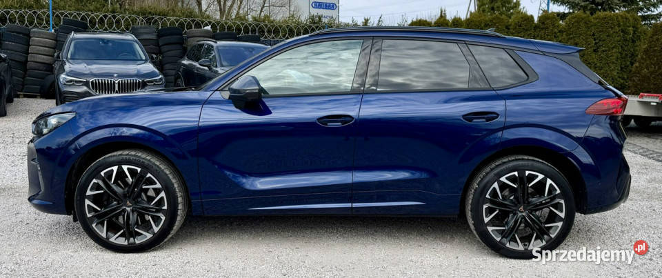 Cupra Terramar VZ2654x4Full wersja NOWA Kamienna Góra