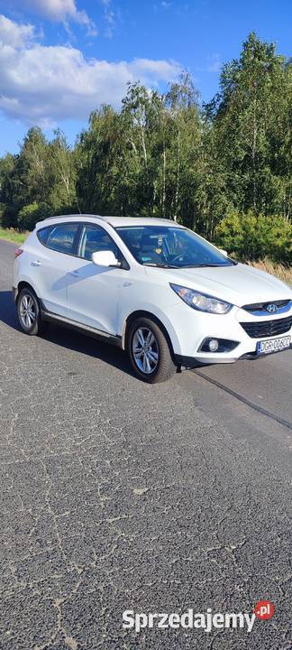 Hyundai Laskowa