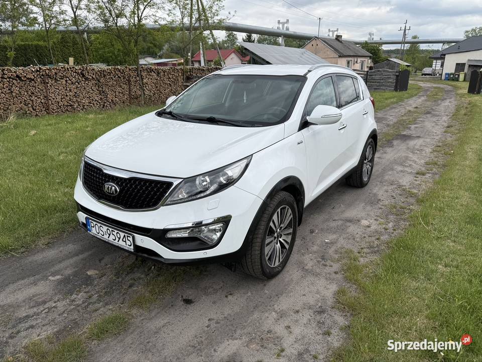 Kia Sportage Bełchatów