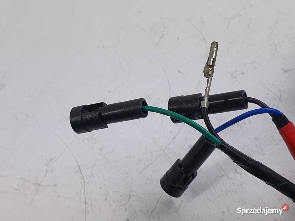 Kosrtka Wtyczka Wiazka Instalacja Triumph Speed Łódź