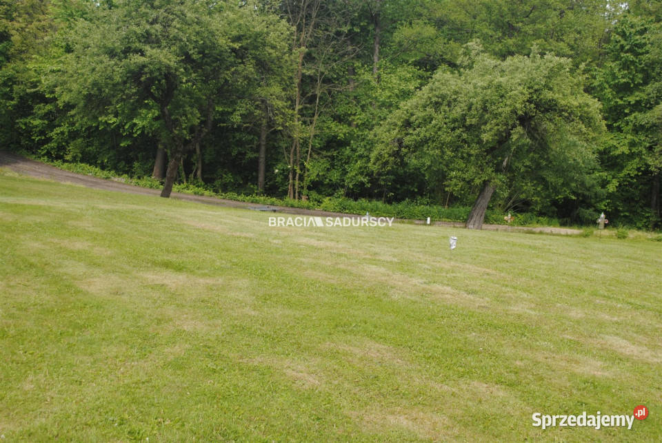 Działka Łazany 15200m2 rolna Sprzedaż