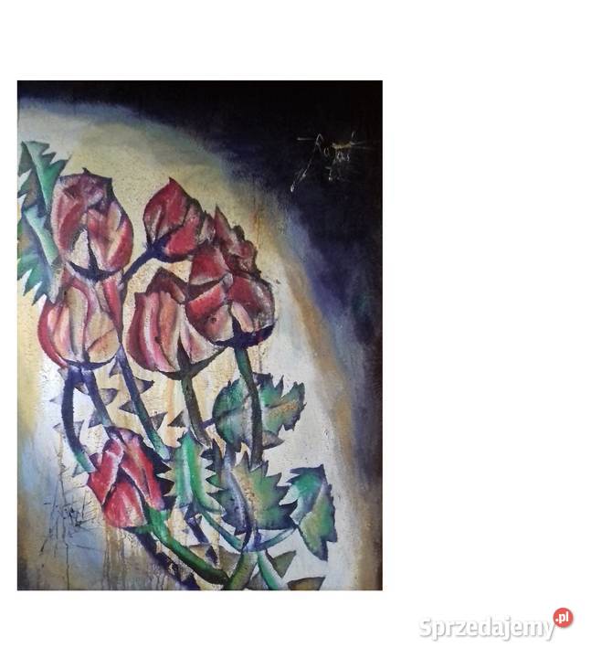 Sześć Gwiezdnych Róż Gwiazdeczkowych Jarosław