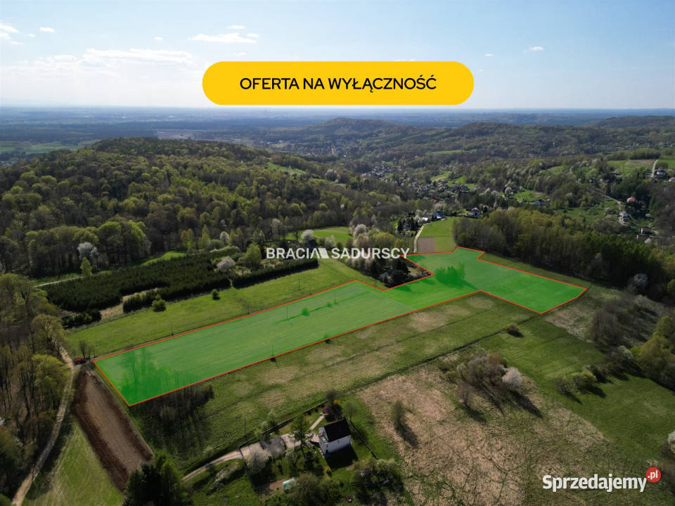 Grunt sprzedam 22110m2 Płaza Podlas