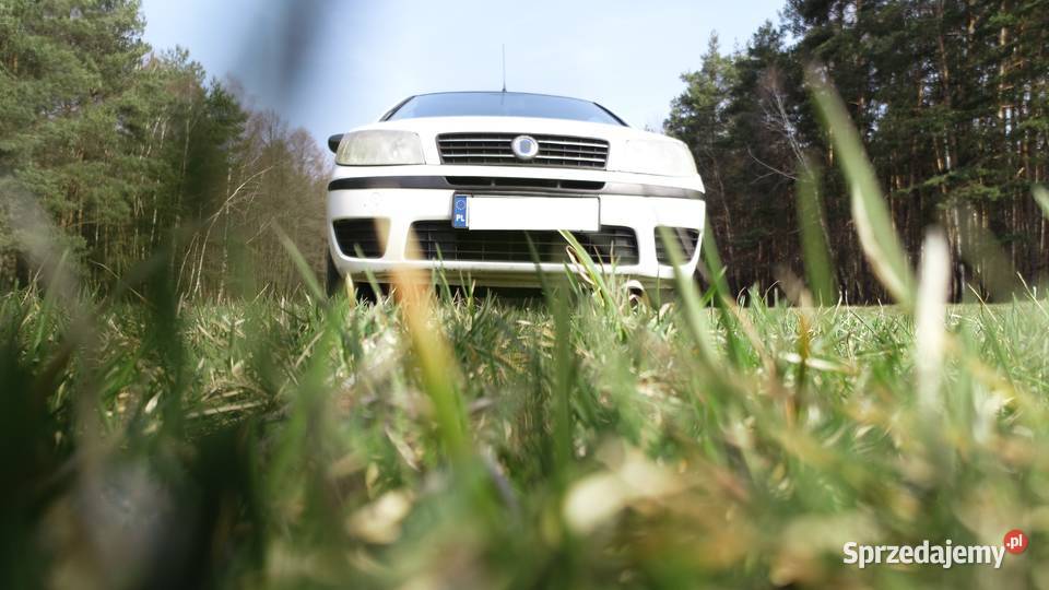Fiat Punto 12 Punto Drużbice