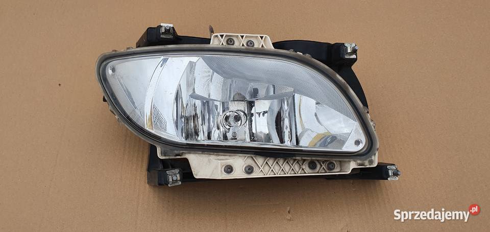 DAF XF 106 HALOGEN PRAWY PRZECIWMGIELNY LAMPA Oświetlenie Bieleń
