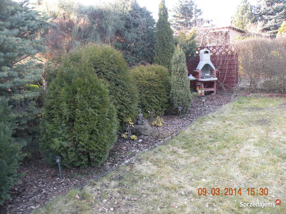 działkę rekreacyjną kujawsko-pomorskie Bożenkowo sprzedam