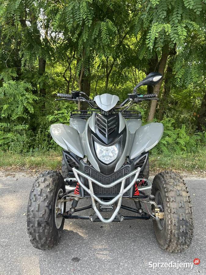 Quad dinli 300 2014 Rok produkcji 2014 Dinli