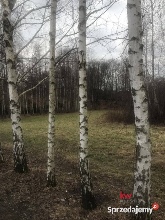 Działkę sprzedam 1152m2 BielskoBiała Księżycowa Bielsko-Biała
