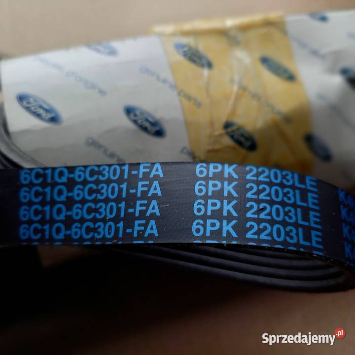 13761046C1Q6C301FA Pasek klinowy TRANSIT Kraków