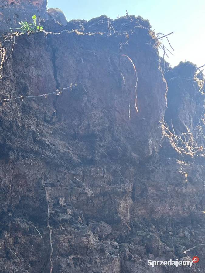 Torf ziemia ogrodowa Garbów