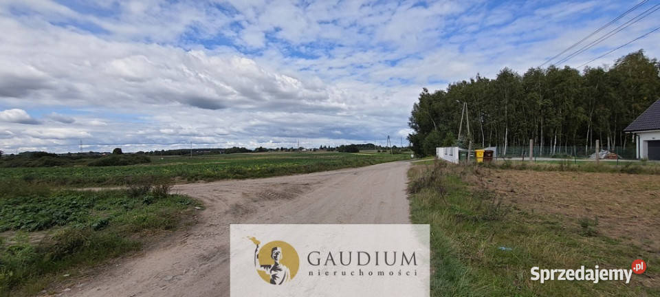 Koteże działka tuż lesie Sprzedaż